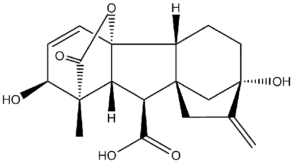 赤霉素GIBBERELLIC ACID，居然有這么神奇？